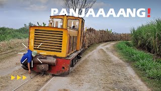 Long Sugarcane Train and ordinary workers in front of the locomotive❗️