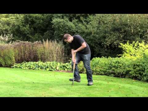 How to get a thicker lawn - Gro-Sure How to get a thicker lawn - Gro-Sure