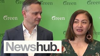 Capping rent rises, landlord register: Greens announce Pledge to Renters Policy | Newshub