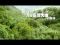 『賴桑種樹推廣影片完整版(4分11秒)』