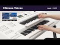 Electone ELA-1|Features:Chinese Voice