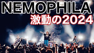 【NEMOPHILA】武道館公演・SAKI脱退・激動の2024年を振り返る！