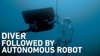 The Haunting of an ROV