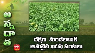 Kharif Crops for Southern Zone of A P | దక్షిణ  మండలానికి అనువైన ఖరీఫ్ పంటలు  | ETV