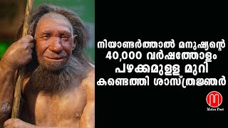 നിയാണ്ടർത്താൽ മനുഷ്യന്റെ  40,000 വർഷത്തോളം  പഴക്കമുള്ള മുറി കണ്ടെത്തി ശാസ്ത്രജ്ഞർ | METRO POST