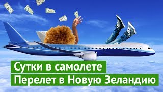 Сутки в самолёте: долететь до Новой Зеландии за кучу денег и не сойти с ума