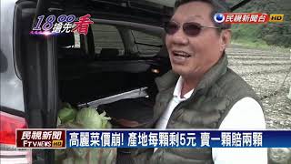 高麗菜價崩! 產地每顆剩5元 讓民眾隨便採－民視新聞