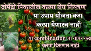 टोमॅटो करपा नियंत्रण| tomato early blight late blight control| blight control|करपा रोग नियंत्रण