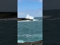 Lāʻie Point. Oahu, HI