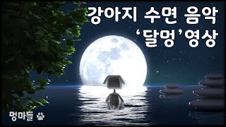 조용하고 겁 많은 강아지를 위한 강아지 자장가 #멍마들, 강아지를 위한 '달멍'영상 - Music for the quiet and timid dog