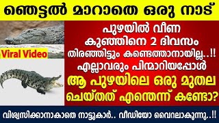 കണ്ടത്താനാകാതെ ഏവരും പിന്മാറിയപ്പോൾ ഈ മുതല ചെയ്തത് കണ്ടോ....