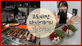 [추석 먹부림을 끝내고 다시 일상으로 돌아온 VLOG/추석연휴동안 얼마나 쪘을까요..?/양꼬치\u0026꿔바로우/보드게임카페/아보카도샐러드]