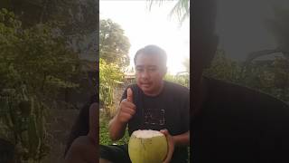 Menikmati kesegaran air kelapa muda #minumairkelapa