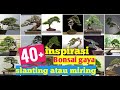 40+ inspirasi gaya bonsai slanting atau miring