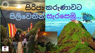 උතුම් වු සිරිපා කරුණාවට පිලිවෙතින් පෙලගැසෙමු 🙏| SHAN Creations | #srilanka #siripadaya #viral #trend