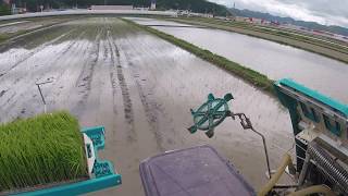 ただ、田植え機の運転。　※風切り音がうるさいので注意