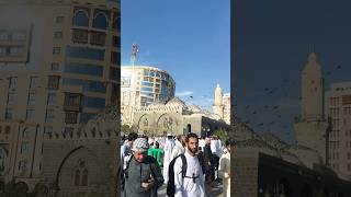 Masjid al ghammah #eidmubarak #viralvideo #shortsvideo #reels #medina #subscribe
