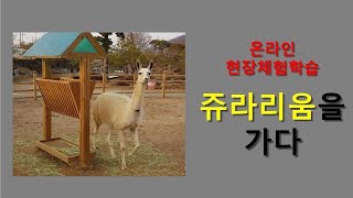 [온라인수업 진로와직업] 온라인 현장체험학습 / 쥬라리움을 가다 / 특수학급 /온라인수업