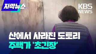 [자막뉴스]  산에서 사라진 도토리... 주택가 '초긴장' / KBS 2023.10.10.