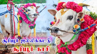 சூரியூர் காசி || அலப்பறை || sooriur