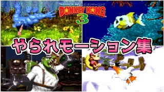 【スーパードンキーコング3】ザコ敵＆ボスのやられモーション集【SFC】