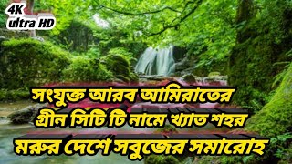 সংযুক্ত আরব আমিরাতের গ্রীন সিটি  নামে খ্যাত শহর,আল-আইন,আবুধাবি,মরুর বুকে সবুজের সমারোহ,#hmsvlog