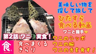 ワニのシッポとタンと腕肉を入手！ ワニ肉を料理していく！第２話　涙の実食。