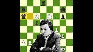 Anatoly Karpov's Brilliancy ✨💎 (2)