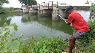 Best Hook Fishing Video|Fishing for Indian Baam \u0026 Tilapia To Catch With Small Hook|Unique Fishing