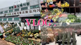 양재 꽃시장 다녀왔어요💐 | 양재화훼단지 | 양재꽃시장투어 | VLOG