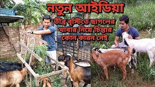 তীব্র বৃস্টিতে ছাগলকে শুকনো ঘাস কি ভাবে সংগ্রহ করে খাওয়াবেন /Goat/GoatFram