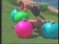 The Dumbell Ball Fly -From CHEK's 