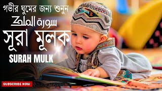 সুন্দর কোরআন তেলাওয়াত। সূরা মুলক।Surah Mulk. সৎ পথের পথিক।