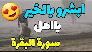 عجائب المداومة على قراءة سورة البقرة يوميا