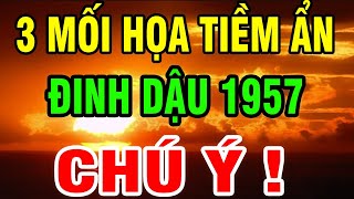 3 Hiểm Họa Tiềm Ẩn Tuổi Đinh Dậu 1957 Trong Phần Đời Còn Lại, Tránh Được Phúc Lộc Giàu Sang