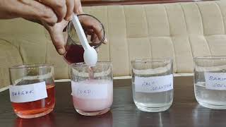 Hibiscus Flower as Acid and Base Indicator