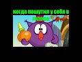 Когда пошутил у себя в голове shorts