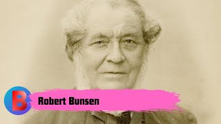 Robert Bunsen | Biography