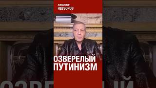 Россия повторяет худшие практики третьего рейха #невзоров