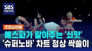 "팀 정체성 잘 느껴져"…에스파 '슈퍼노바', 음원차트 정상 휩쓸어 / SBS / 굿모닝연예