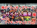 【ショーケース紹介】vol2 👏👏👏　ドラゴンボールフィギュア　ディスプレイDRAGON BALL Z サイヤ人襲来編 　イケアデトルフ　ドラゴンボール EX 天下分け目の超決戦!!