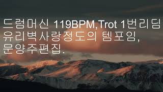 드럼머신 119BPM Trot 1번리딤,문양주편집,2025 01 15 00 51 29