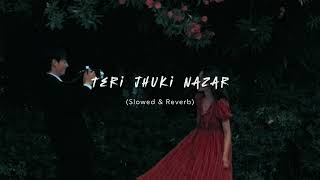 Teri Jhuki Nazar [Slowed+Reverb] ~ | Mohit Chauhan || Lyricssayss