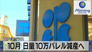 ＯＰＥＣプラス　10月 日量10万バレル減産へ【モーサテ】（2022年9月6日）