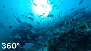 Similan dive site \