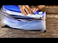 Document Organization Organize Your Important Papers
