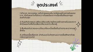 บทปฏิบัติการชีววิทยา เรื่อง โครงสร้างภายในราก ลำต้น และใบ ของพืชใบเลี้ยงคู่และใบเลี้ยงเดี่ยว