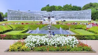 2018.05.15 [4K] 春のバラフェスタ  ／ 都立神代植物公園