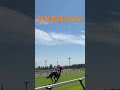 jra 新潟競馬　直線1000m