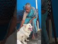 ചിലർ അങ്ങനെയാണ് ❤️❤️❤️. doglover dog keralatrending